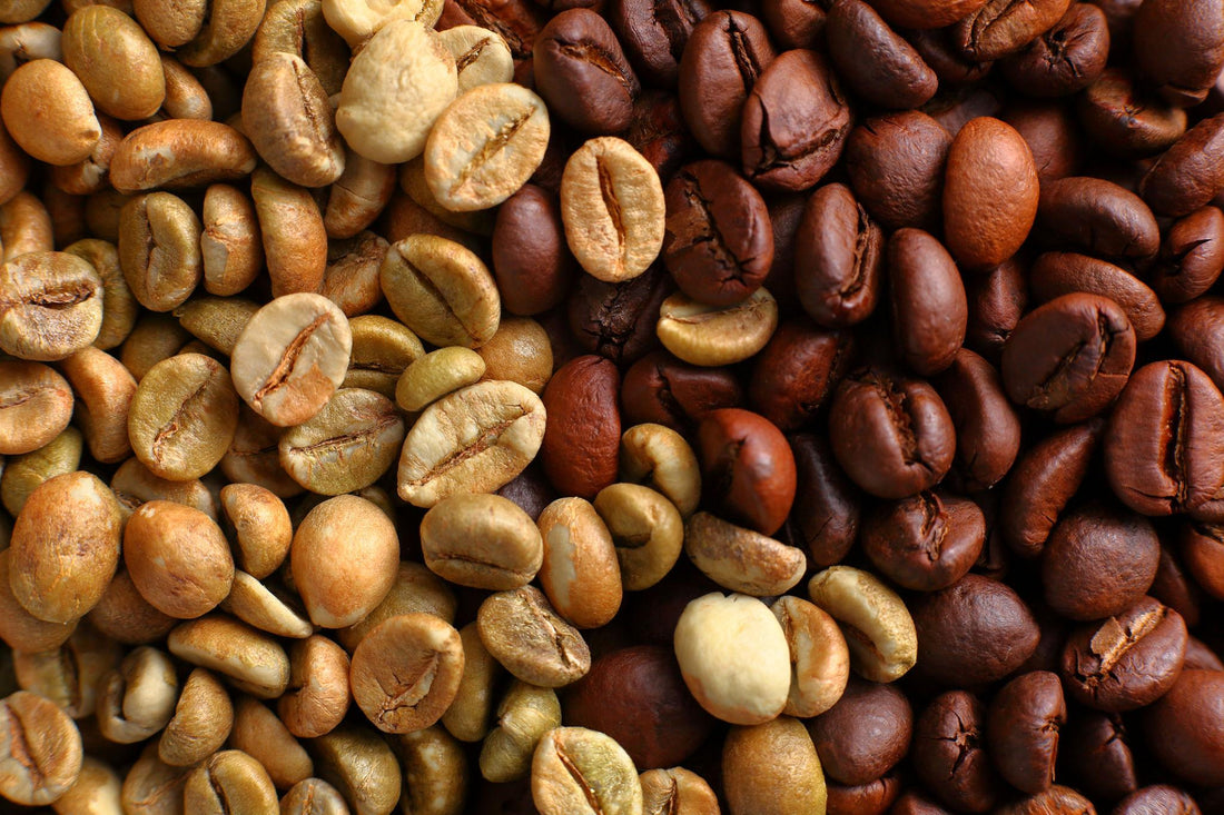 Arabica vs Robusta coffee beans comparison